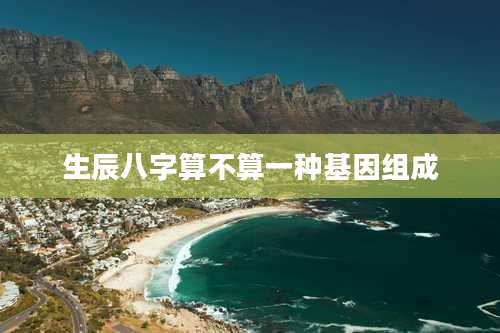 生辰八字算不算一种基因组成