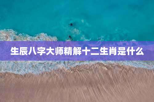 生辰八字大师精解十二生肖是什么