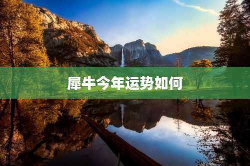 犀牛今年运势如何