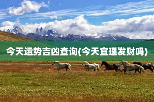 今天运势吉凶查询(今天宜理发财吗)