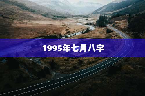 1995年七月八字