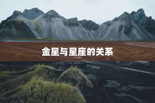 金星与星座的关系