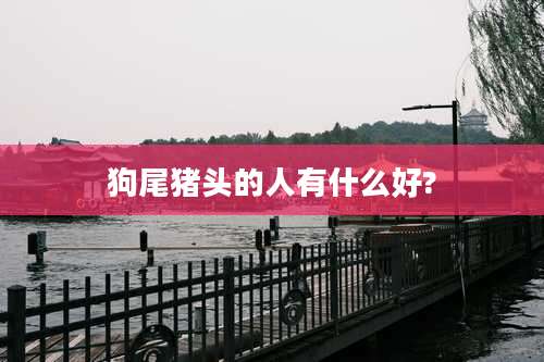 狗尾猪头的人有什么好?