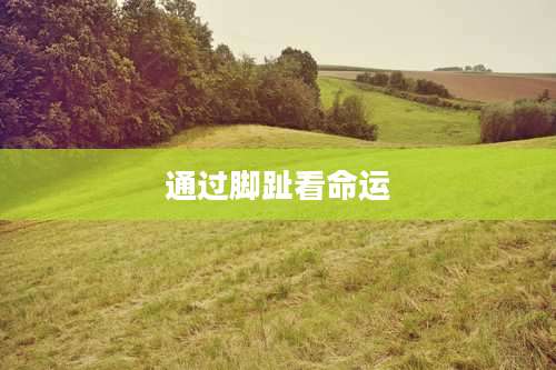 通过脚趾看命运