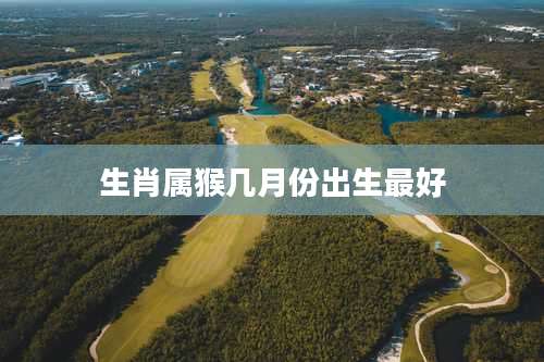 生肖属猴几月份出生最好