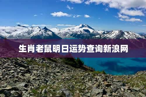 生肖老鼠明日运势查询新浪网