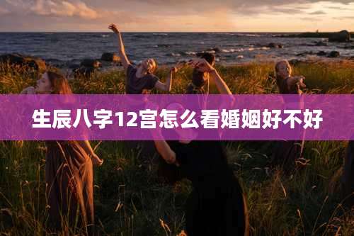 生辰八字12宫怎么看婚姻好不好
