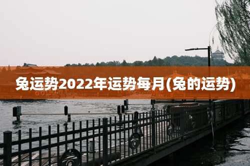 兔运势2022年运势每月(兔的运势)
