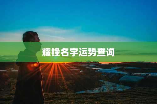 耀锋名字运势查询