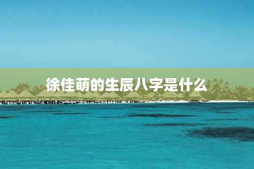 徐佳萌的生辰八字是什么