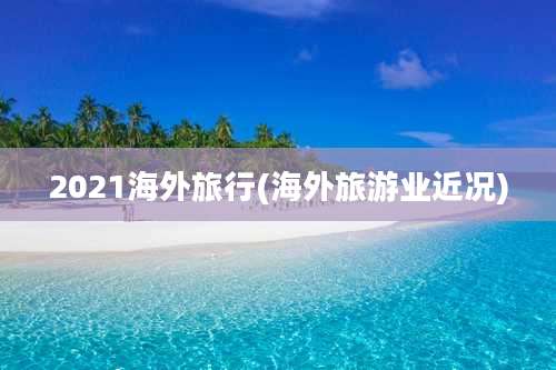 2021海外旅行(海外旅游业近况)