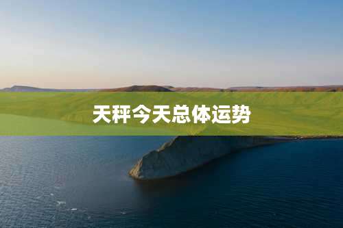 天秤今天总体运势