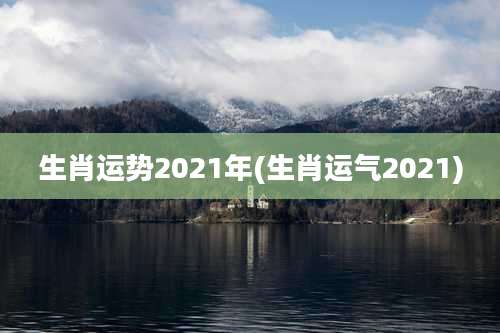 生肖运势2021年(生肖运气2021)
