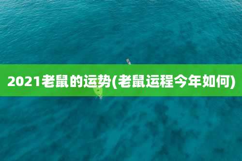 2021老鼠的运势(老鼠运程今年如何)