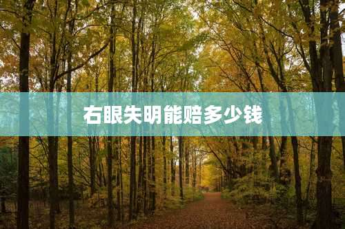 右眼失明能赔多少钱