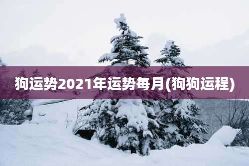 狗运势2021年运势每月(狗狗运程)