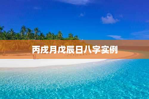 丙戌月戊辰日八字实例