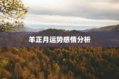 羊正月运势感情分析