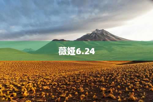 薇娅6.24