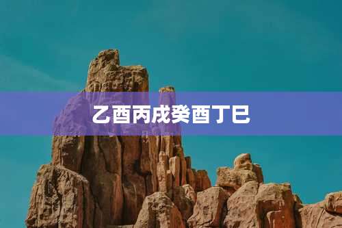 乙酉丙戌癸酉丁巳