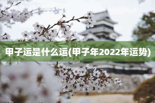 甲子运是什么运(甲子年2022年运势)
