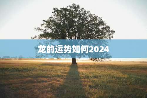 龙的运势如何2024