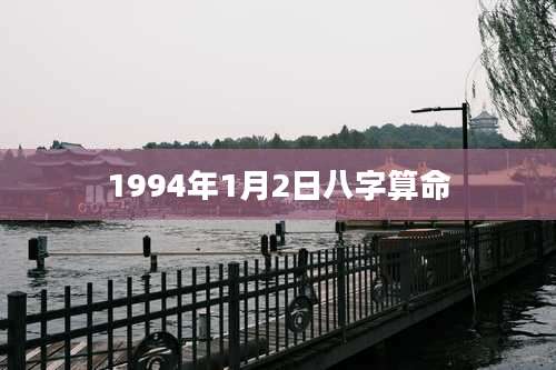 1994年1月2日八字算命