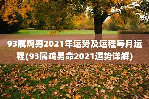 93属鸡男2021年运势及运程每月运程(93属鸡男命2021运势详解)