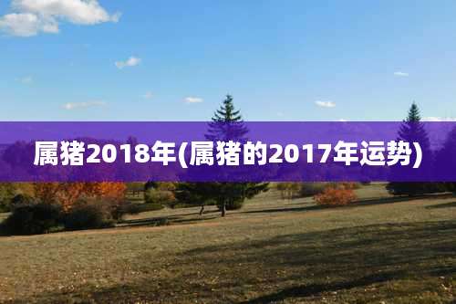 属猪2018年(属猪的2017年运势)