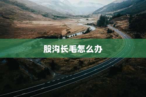 股沟长毛怎么办