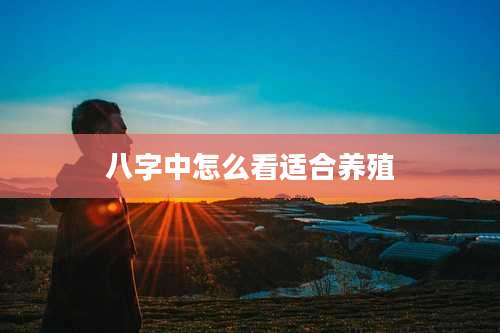 八字中怎么看适合养殖