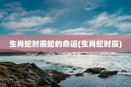 生肖蛇时辰蛇的命运(生肖蛇时辰)