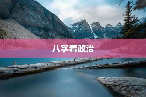 八字看政治