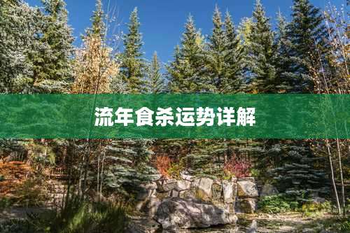 流年食杀运势详解