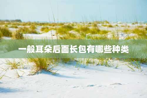 一般耳朵后面长包有哪些种类