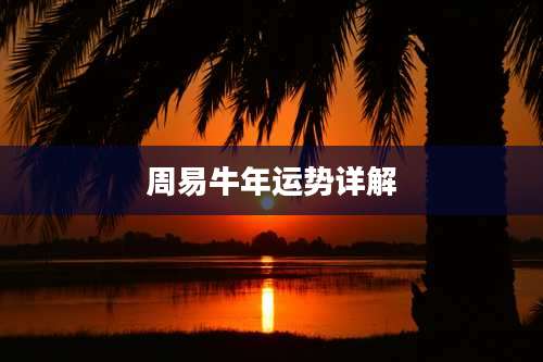 周易牛年运势详解