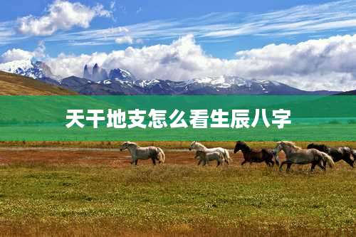 天干地支怎么看生辰八字