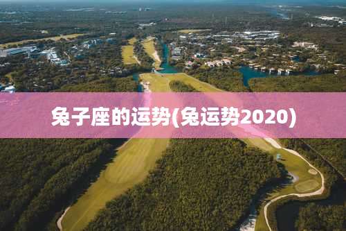 兔子座的运势(兔运势2020)