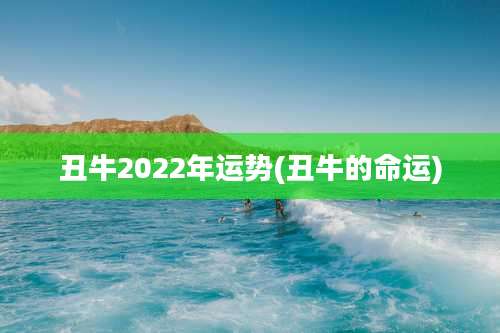 丑牛2022年运势(丑牛的命运)