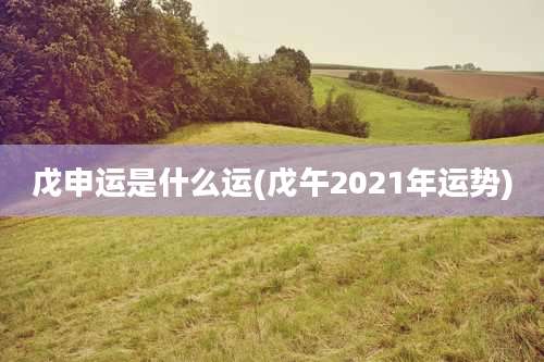 戊申运是什么运(戊午2021年运势)