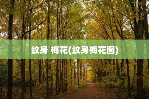 纹身 梅花(纹身梅花图)