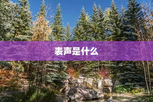 表声是什么