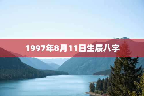 1997年8月11日生辰八字