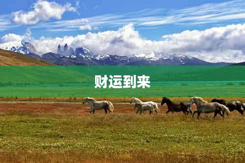 财运到来