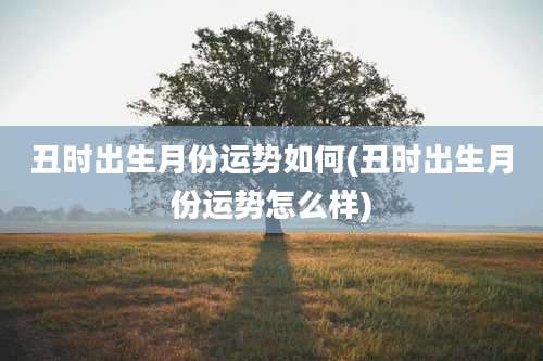 丑时出生月份运势如何(丑时出生月份运势怎么样)