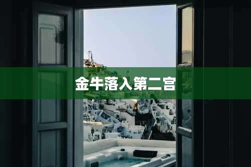 金牛落入第二宫