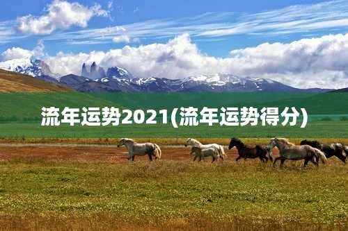 流年运势2021(流年运势得分)