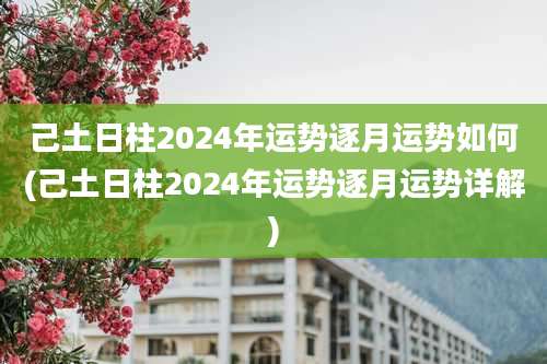 己土日柱2024年运势逐月运势如何(己土日柱2024年运势逐月运势详解)