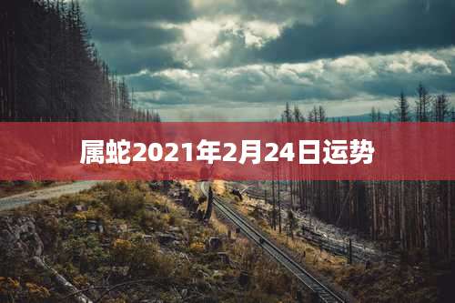 属蛇2021年2月24日运势