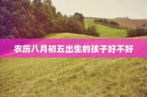 农历八月初五出生的孩子好不好
